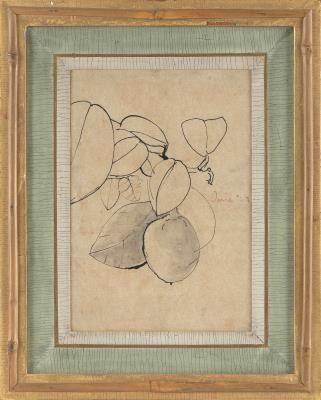 Persimmons