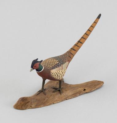 Miniature Ring-Necked Pheasant
