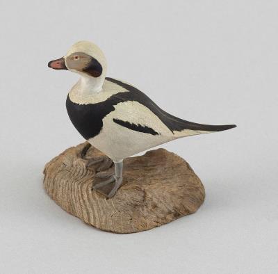 Miniature Oldsquaw Drake