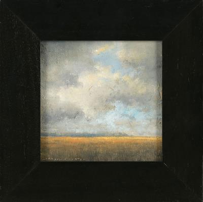 Open field under a big sky