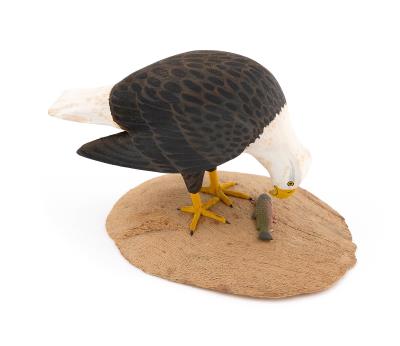 Miniature Bald Eagle Eyeing a Rainbow Trout by Harold Nelson Gibbs - Auction record, sale price, and art valuation. Compare with similar artists and explore comparable artworks.