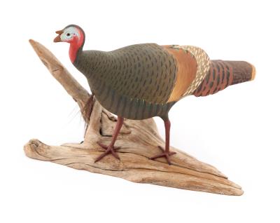Miniature Turkey