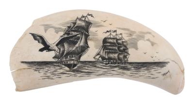 Engraved Whale's Tooth