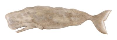 Sperm Whale Plaque