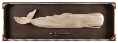 Unusual Sperm Whale Shadow Box