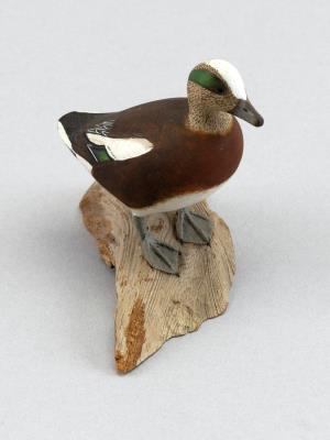 Miniature Baldpate Drake