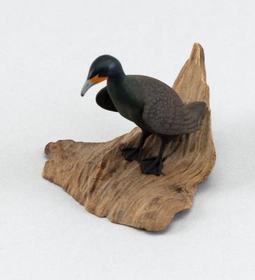 Miniature Cormorant
