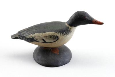 Miniature American Merganser