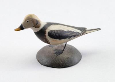 Miniature Oldsquaw Drake