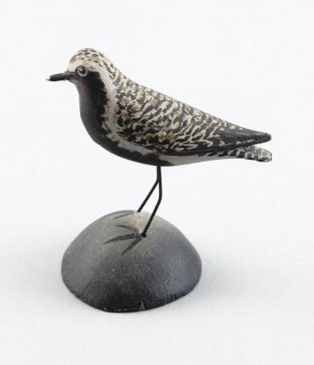 Miniature Black-bellied Plover