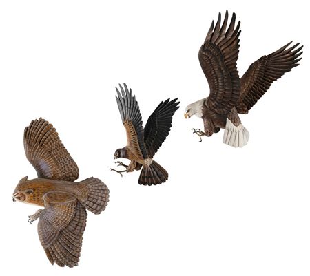 BIRDS OF PREY WALL MOUNTS