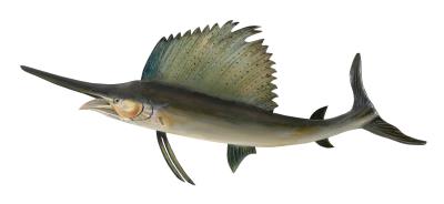 Marlin Carving