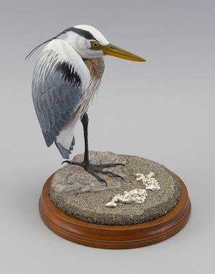 Miniature Great Blue Heron