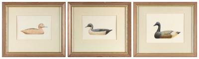 Three portraits of decoys: a pintail drake, a redhead hen and a brant