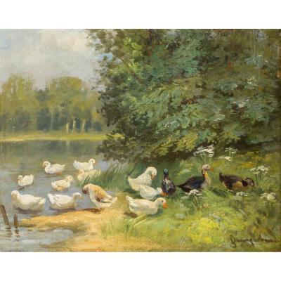 Enten am Teich