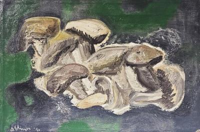 Funghi 1950