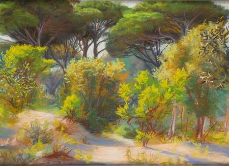 In the pine forest of Castel Fusano by Luce Balla - Auction record, sale price, and art valuation. Compare with similar artists and explore comparable artworks.