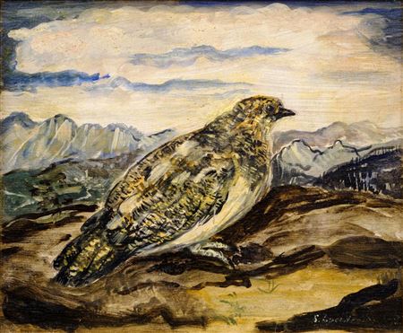 Falzarego Ptarmigan
