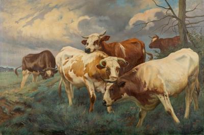 Imaginative Oxen, Oosterweel, Antwerp