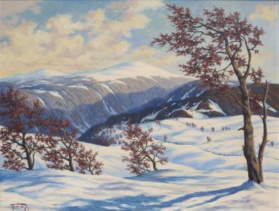 View from Schauinsland to Feldberg
