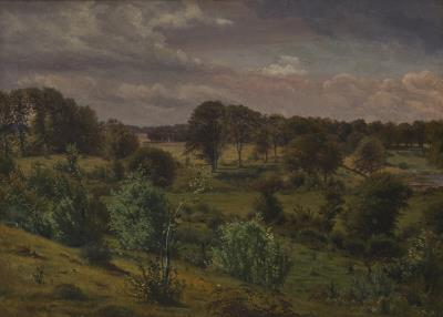 Landscape with Trees and Bushes