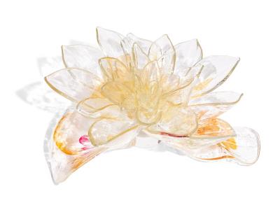 Lotus Flower