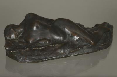 Extended Naiad