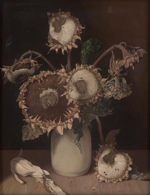 Withered Sunflowers