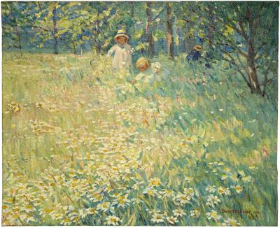 The Daisy Field