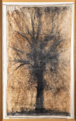 Artwork by Jean Murgue