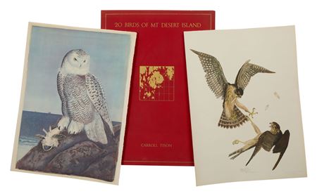 Sample artwork by Carroll Sargent Jr Tyson (1877 - 1956), known for landscape-coastal, birds, portrait - View similar artists and auction records