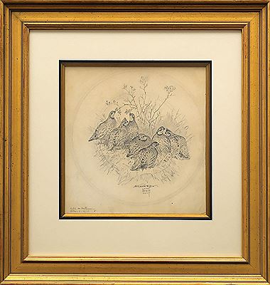 "Feeding Quail"