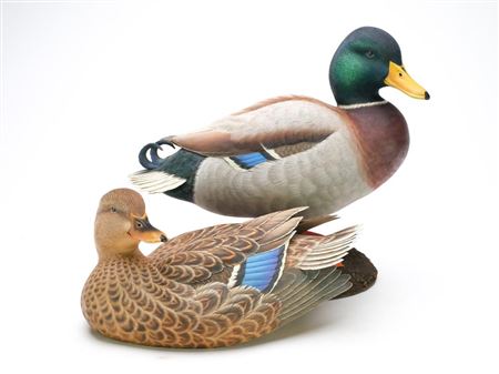 Pair of Mallards