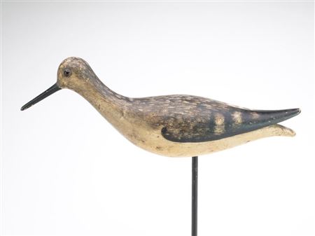 Running willet