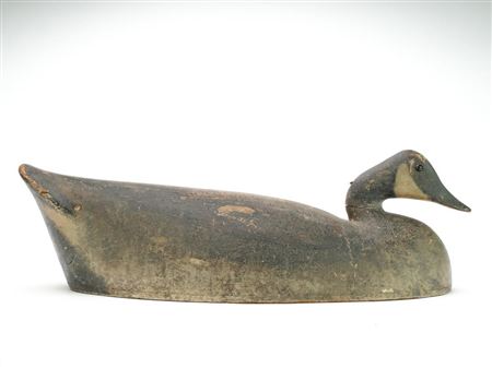 Canada Goose