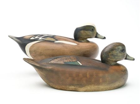 Pair of widgeons