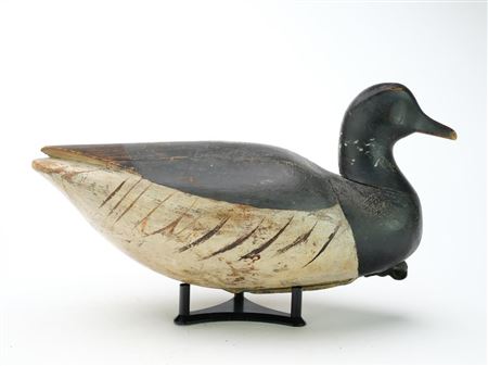Duck decoy