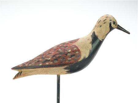 Ruddy turnstone by Daniel Leeds - Auction record, sale price, and art valuation. Compare with similar artists and explore comparable artworks.