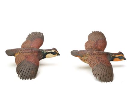 Two miniature flying quail