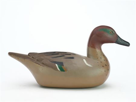 Greenwing teal drake