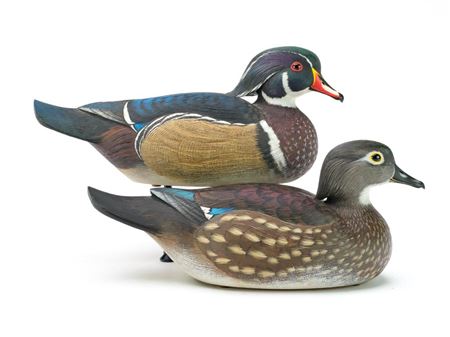 Pair of wood ducks
