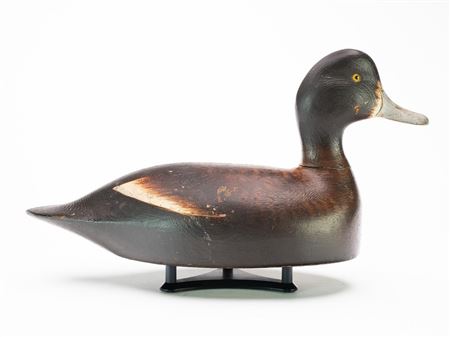 Bluebill hen