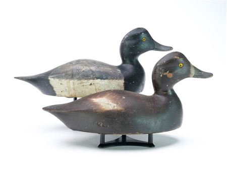 Rigmate pair of Bluebills