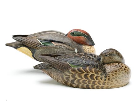 Pair of Sleeping Greenwing Teal