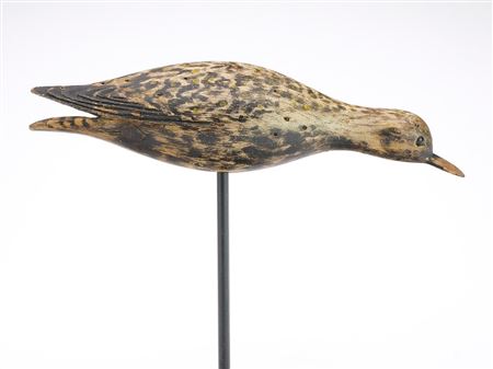 Golden Plover