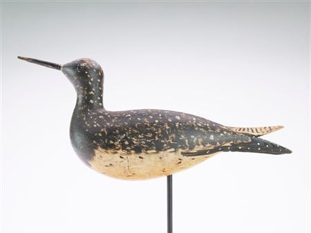 Dropped Wing Dowitcher