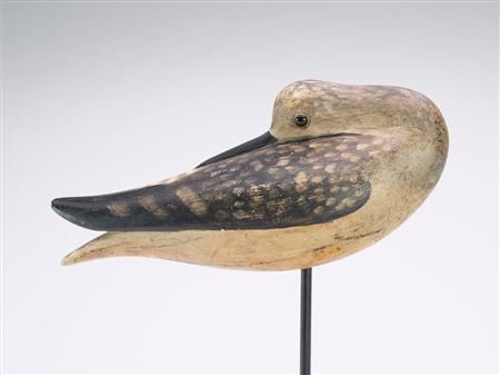 Sleeping Yellowlegs
