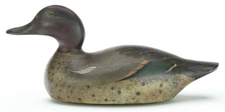 Greenwing teal