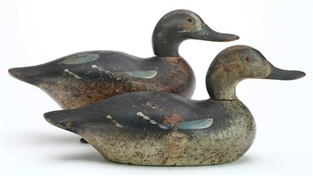 Rigmate pair of bluewing teal
