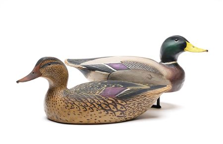 Pair of Mallards